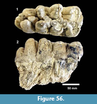 s figure56