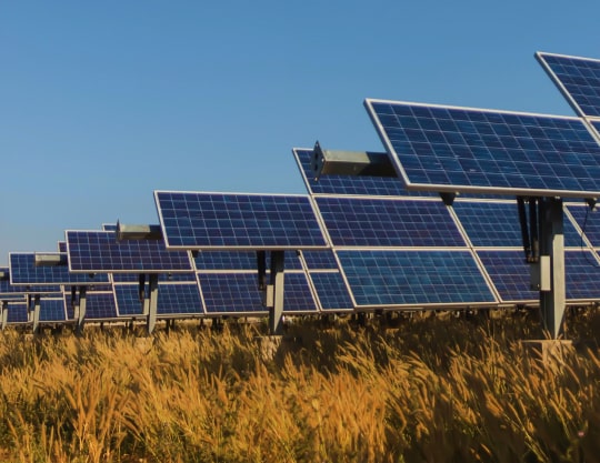 Rows of solar panels in a field