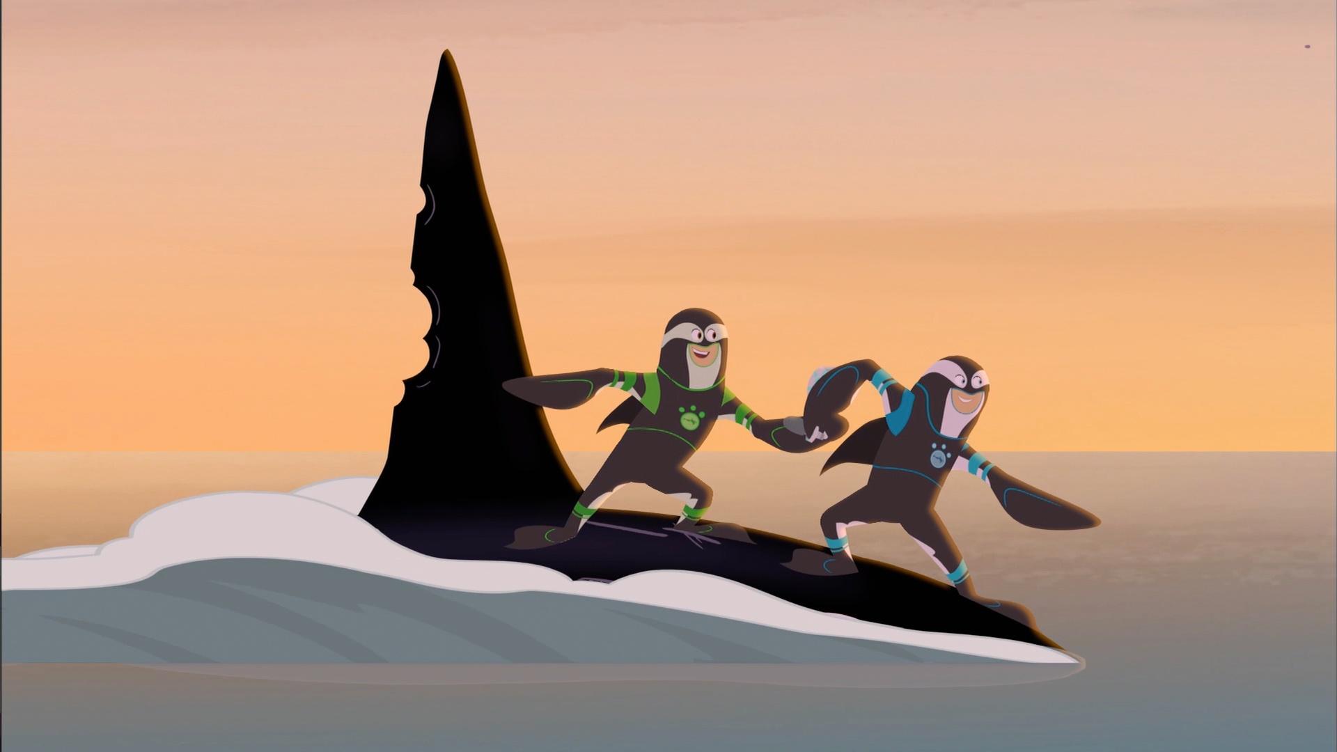 The Kratts search for an old wily orca that only eats sharks!