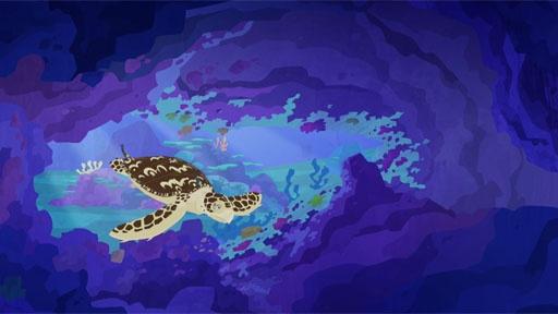 Martin and Chris search for Tortuga design inspiration in the ocean with sea turtles.