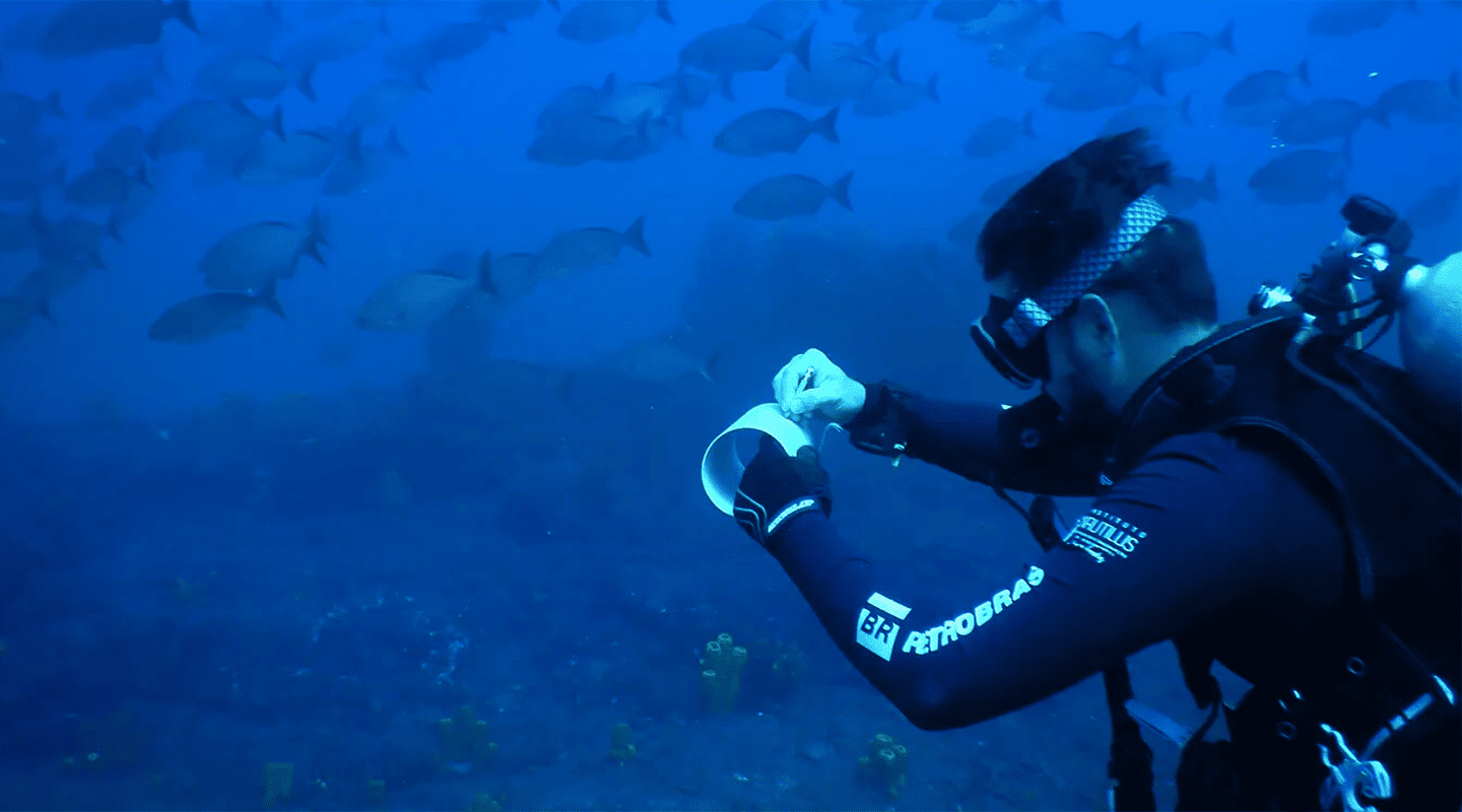 Diver taking notes with fish in the background. Budões Project