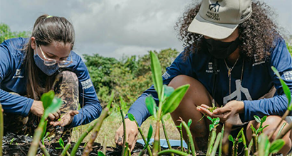 Man and woman planting seedlings for the Amazon Mangroves, a socio-environmental project supported by Petrobras.