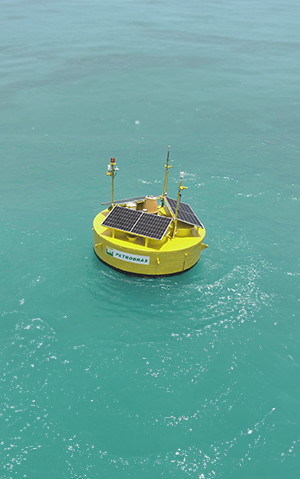 Remote Buoy for Offshore Wind Evaluation (Bravo)