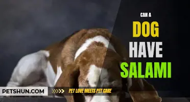 Is Salami Safe for Dogs to Eat?