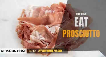 Prosciutto and Dogs: Safe or Risky?