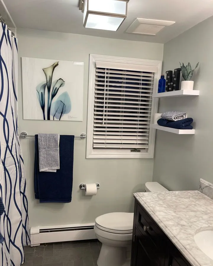 Benjamin Moore Healing Aloe Bathroom