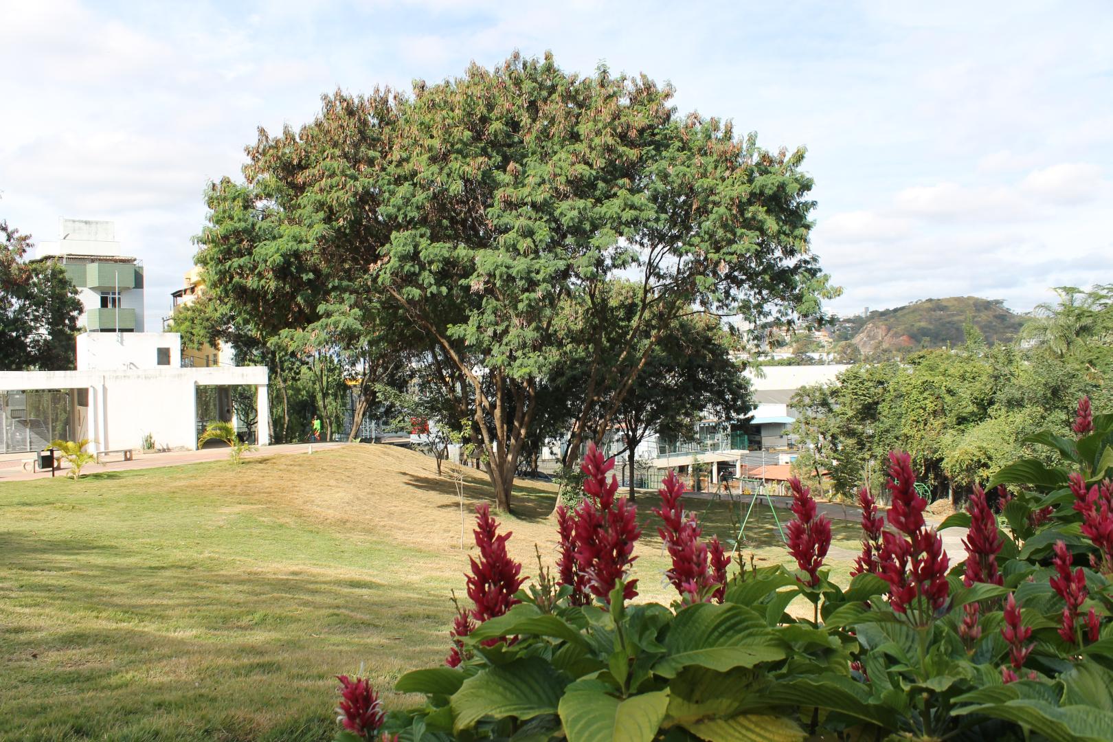 pARQUE uNIVERSITÁRIO