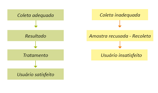 coleta-adequada.jpg