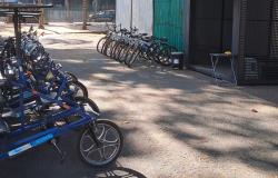 Parque Municipal disponibiliza bicicletas e triciclos para esporte e lazer