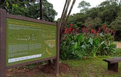 BH é segunda cidade mais “verde” do país