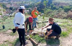 Parque Goiânia recebe plantio de 150 mudas nativas 