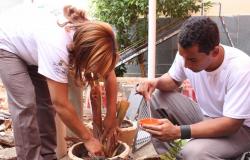 Agentes da Prefeitura mexendo em vasos de planta