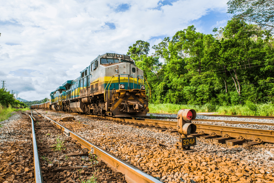 Foto de um trem da Vale passando pelo trilho e vegetação ao redor