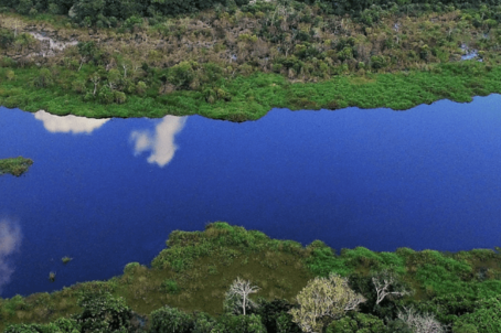 Imagem aérea de um rio com vegetação em volta