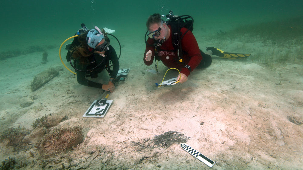 Two divers viewing a shipwreck with scientific instruments and clipboards