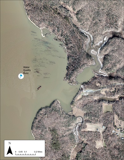 An aerial view of Mallows bay showing the land, shipwreck outlines, and the location of the water quality buoy about a half of mile away from the shore.