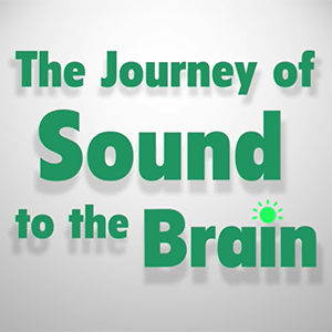 Journey of Sound to the Brain icon