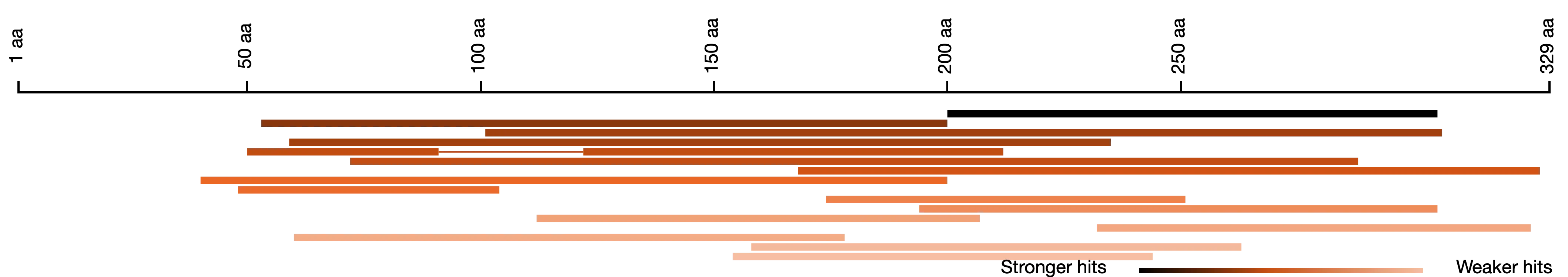 Hits to queries are shown in a graphical summary. It shows where hit aligns to the query and the e-value of the alignment