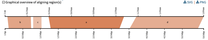 Pairwise overview of HSPs aligning between BLAST query and hit sequence - as generated using SequenceServer's Kablammo integration