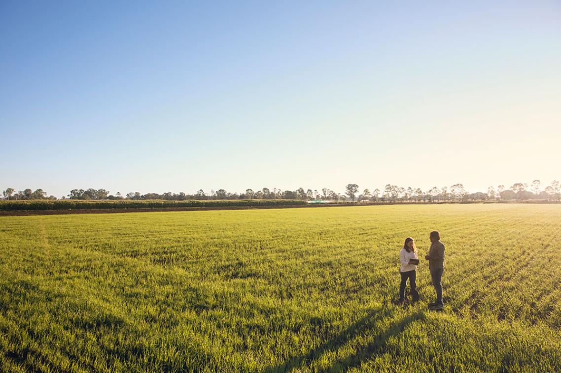 Two students stand in a green field at Gatton campus in the late afternoon.