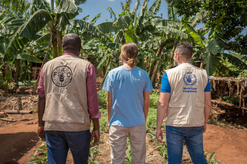 Personal från olika humanitära organ arbetar tillsammans. Foto: WFP/Giulio d'Adamo