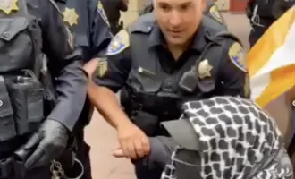 UCPD arrests Pro-Palestinian protestor. 