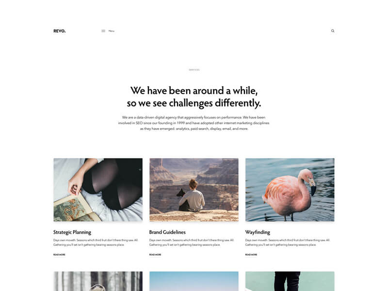 WordPress Theme Page Design