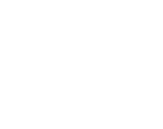 The Moth Logo