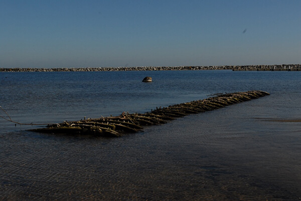 wood from a shipwreck extends from shallow water