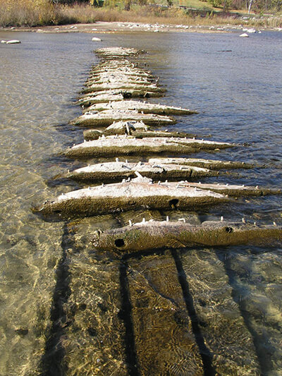 wood from a shipwreck extends from shallow water