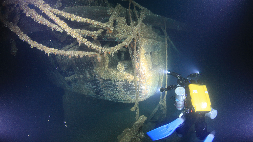 a diver shines a light on a shipwreck