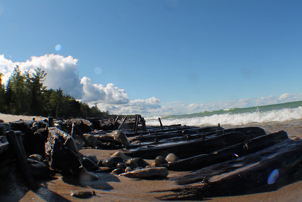 wood from a shipwreck on a shore