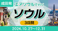 成田発 エアソウルで行くソウル2024.10-12