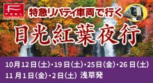 日光紅葉夜行