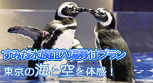 すみだ水族館入場券付プラン