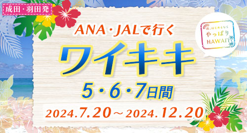 WEB限定 ANA・JALで行くワイキキ5・6・7日間2024.7-12