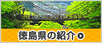 徳島県の紹介