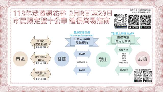 臺中市雙十公車追櫻指南