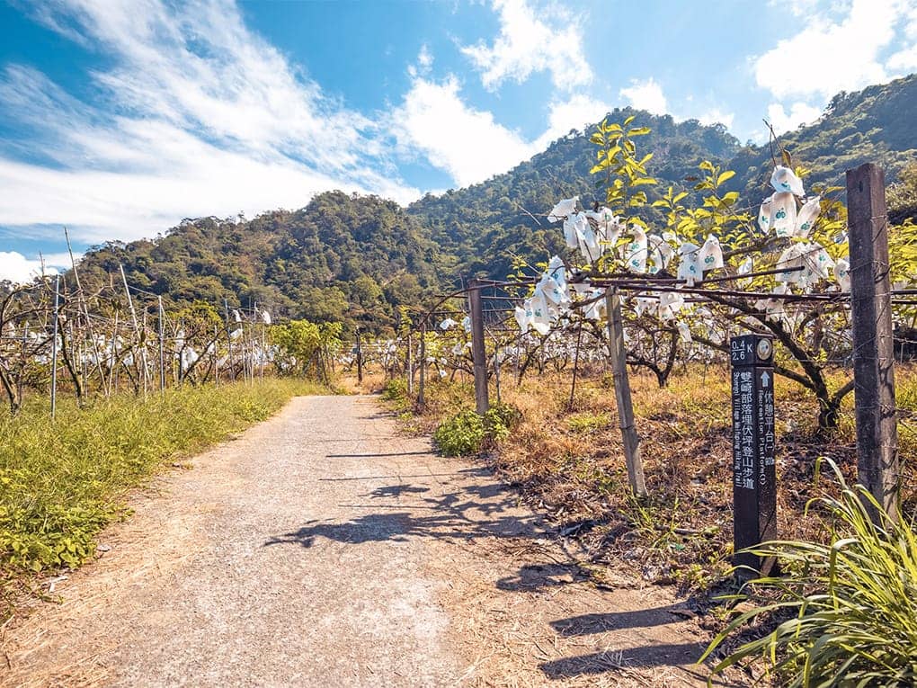 雙崎部落埋伏坪步道