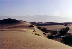 Death Valley dunes