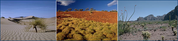 Hot and dry desert photos