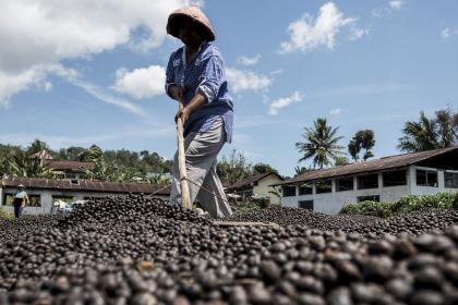 Por qué el comercio debe ser parte de la solución para frenar la pérdida de biodiversidad