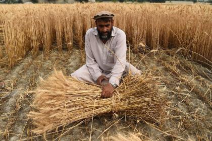 El sector agroalimentario debe ser prioritario para la inversión extranjera directa mundial