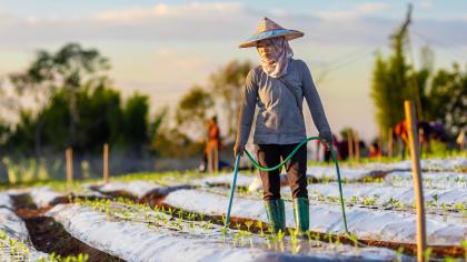 Lacklustre investments in agriculture and agrifood systems are keeping the world off track in eliminating hunger and achieving sustainable development.