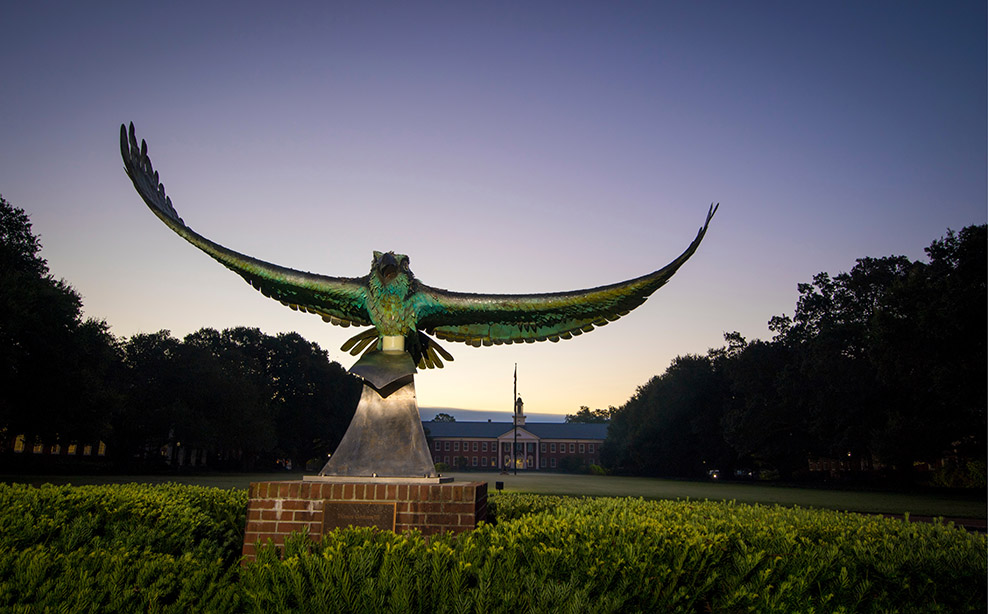 Seahawk Statue Night