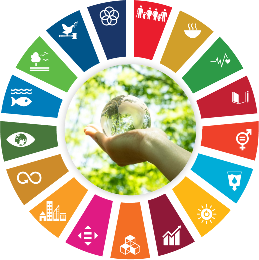 Unece and SDGs