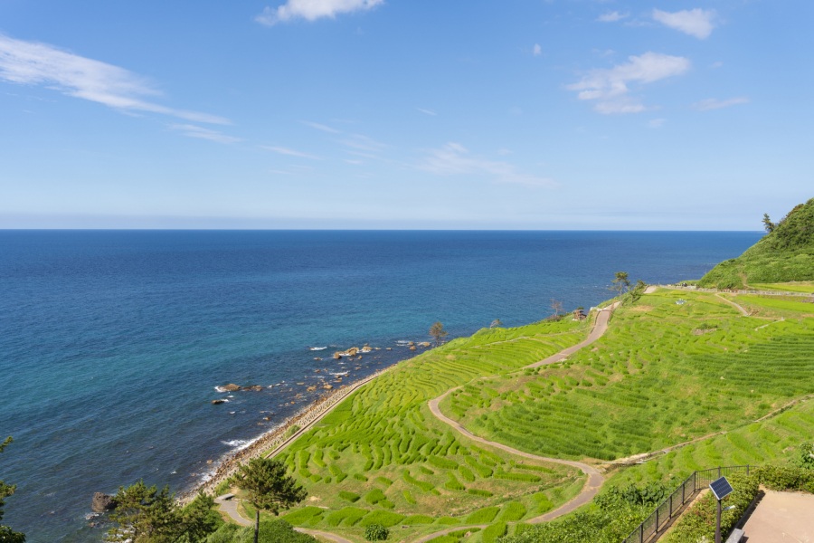 Enjoy wonderful nature and world heritage sites, just a short drive from Kanazawa! 