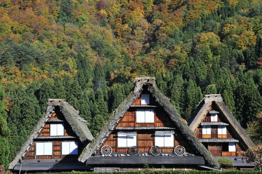 Daytrip to the Magical Villages of Shirakawa-go and Gokayama