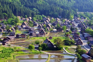 Excursions d’une journée depuis Kanazawa