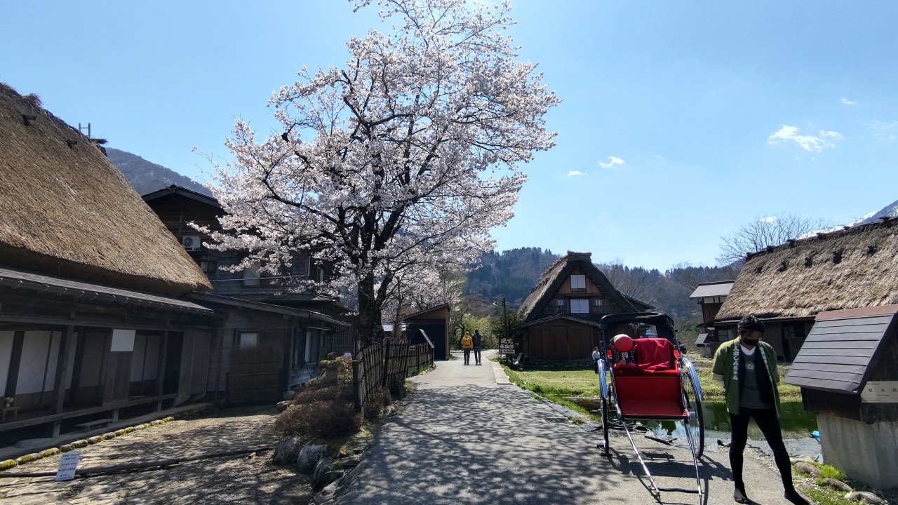 Weekend only! World Heritage Shirakawa-go One-Day Bus Tour